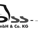 Logo Pross Transporte GmbH & Co.KG