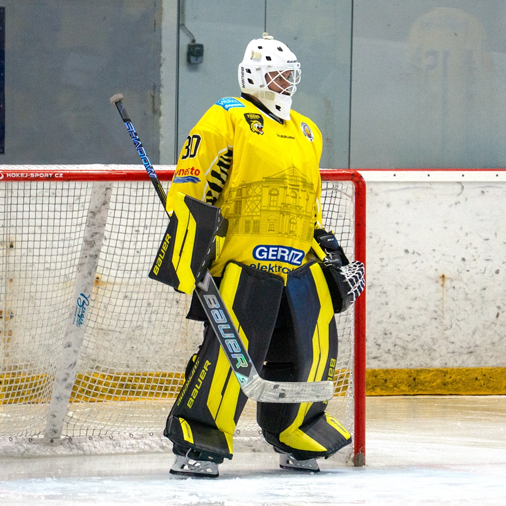 Maximilian Meier im Tor der onesto Tigers