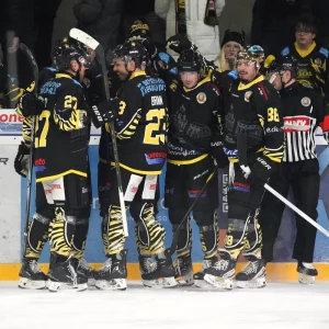 Die Spieler der onesto Tigers freuen sich über einen Treffer