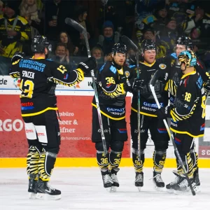 Die Spieler der onesto Tigers jubeln