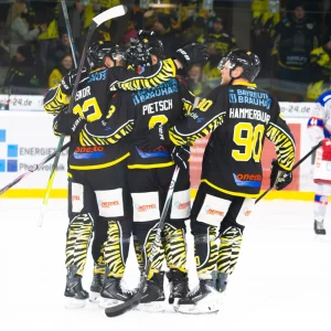 Die Spieler der onesto Tigers feiern einen Treffer gegen den EC Peiting