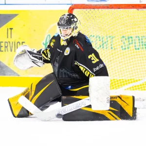 Daniel Arendas im Trikot der onesto Tigers